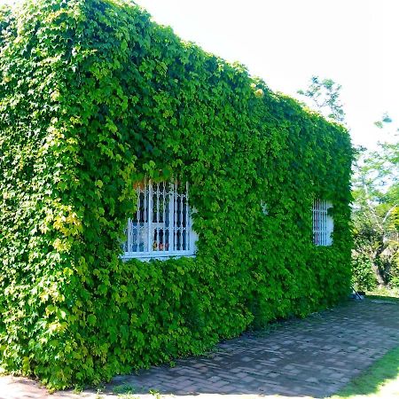 Apartamento Sítio Sapiranga Exterior foto