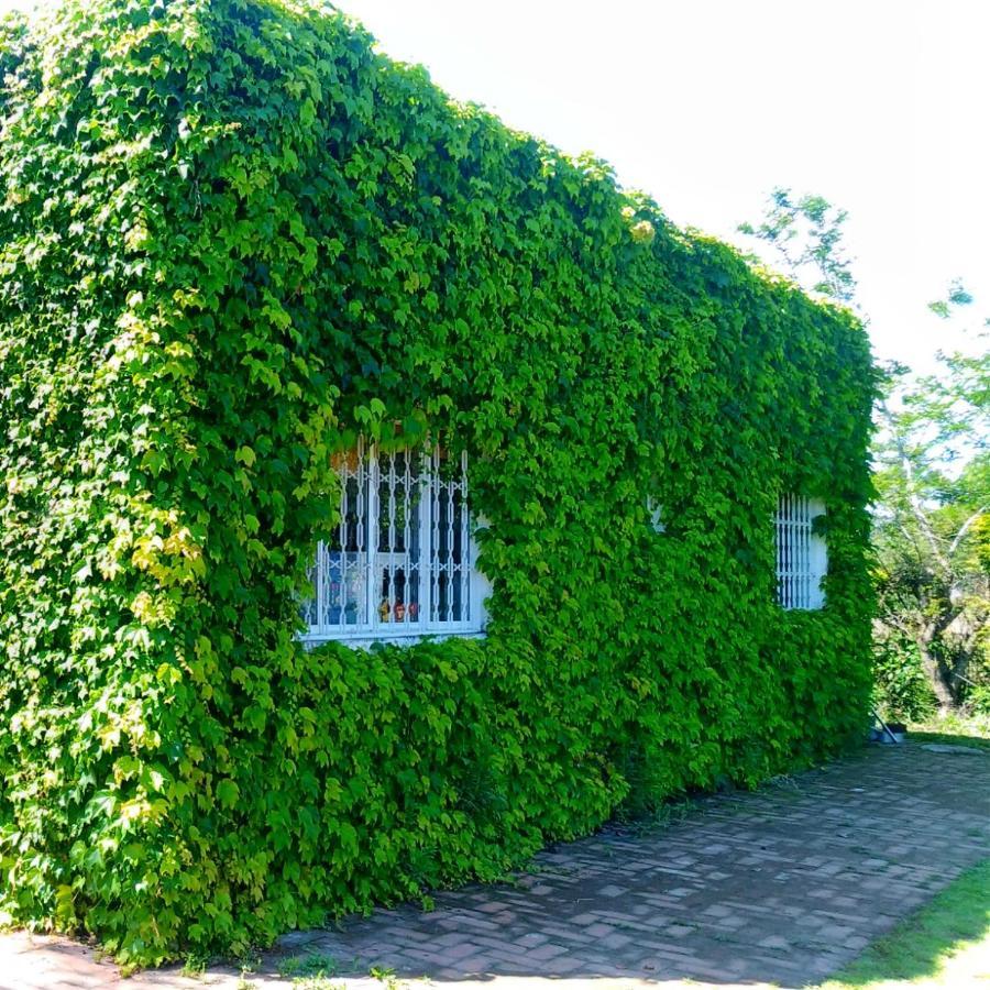 Apartamento Sítio Sapiranga Exterior foto