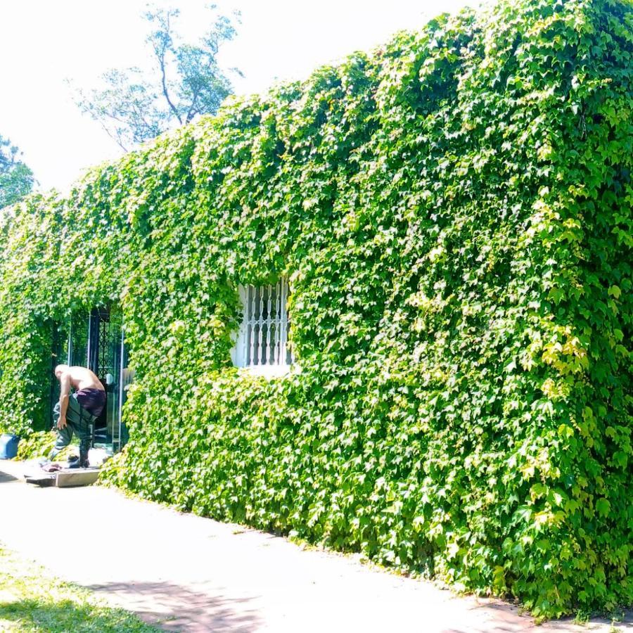 Apartamento Sítio Sapiranga Exterior foto